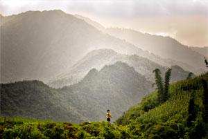 Sapa Hills