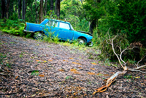 French Car