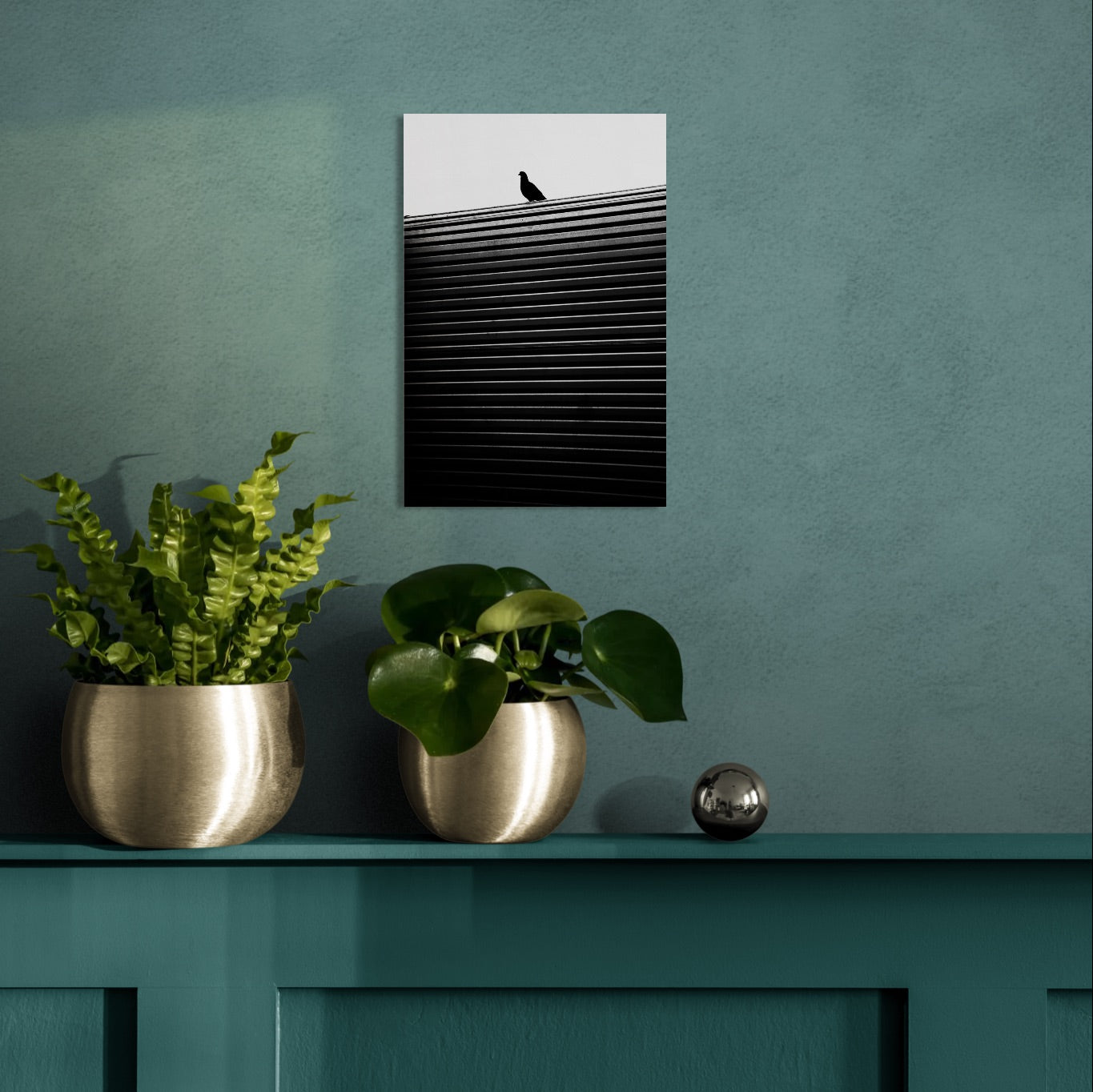 Pigeon on a Box Hill Roll-A-Door