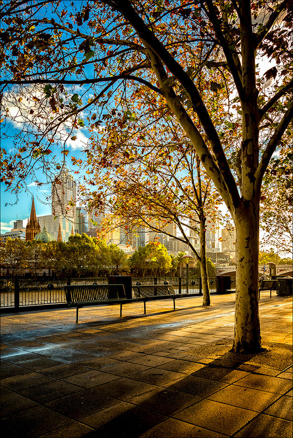 Early Autumn
