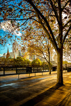 Early Autumn