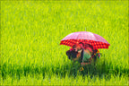 Under the Red Umbrella