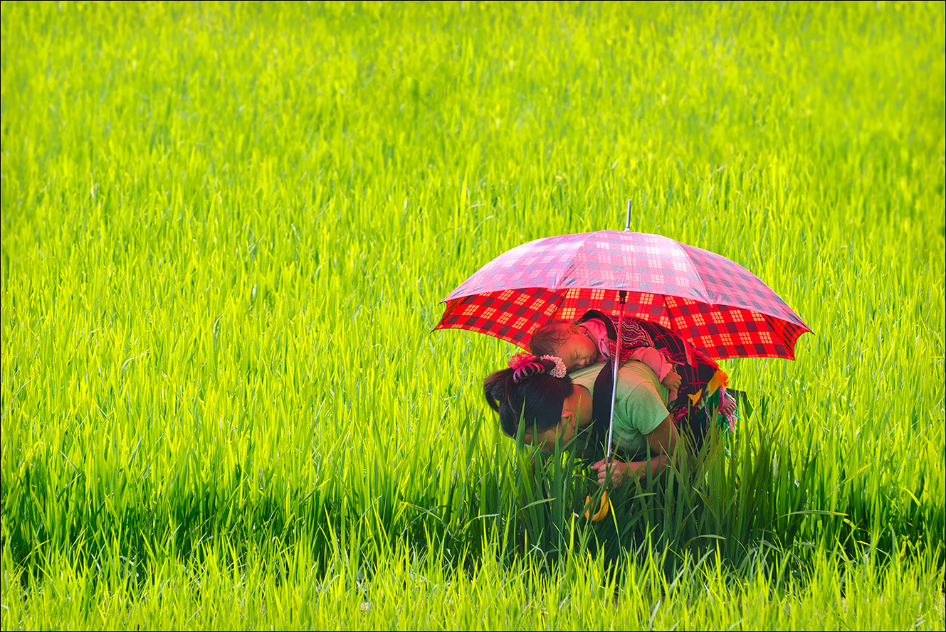 Under the Red Umbrella