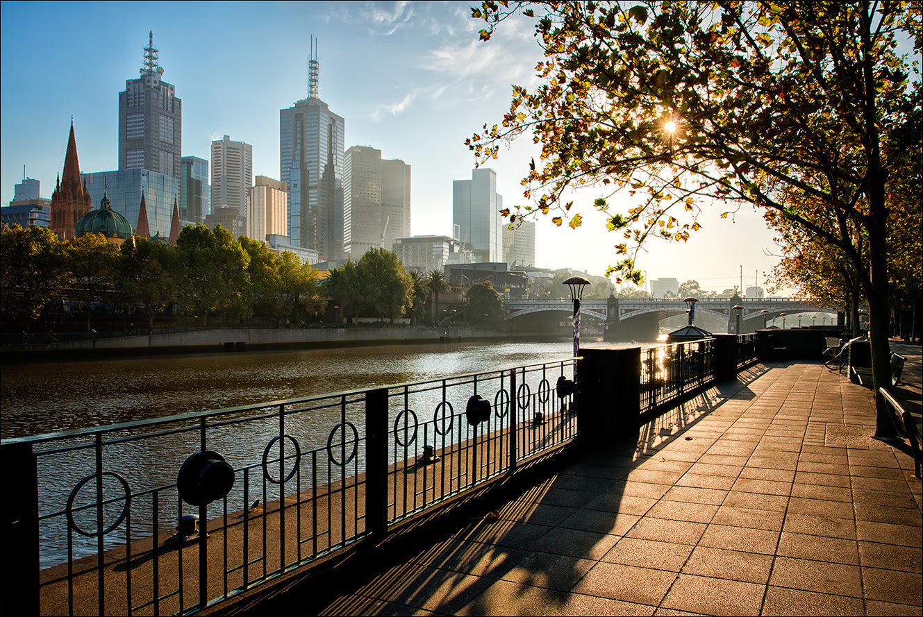 Yarra River Morning Light